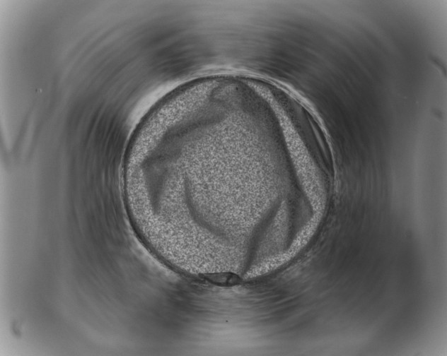 X0000102791239200809081042