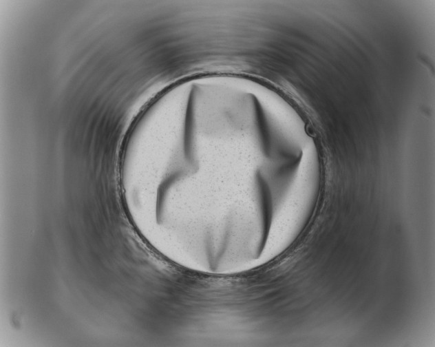 X0000102791240200809081042