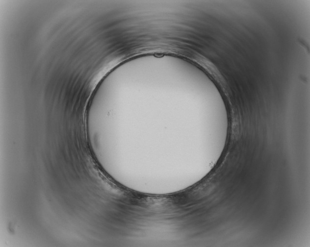 X0000102791242200809081042