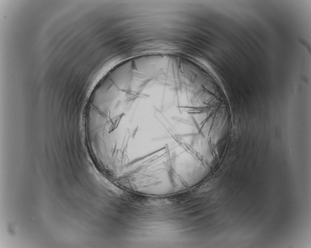 X0000102791243200809081042