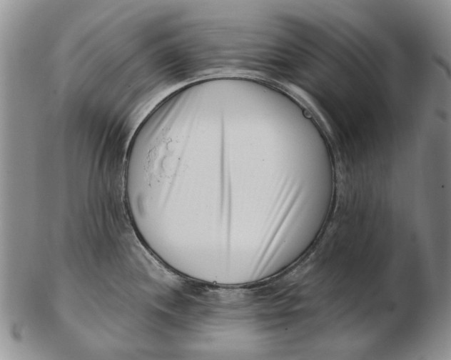 X0000102791244200809081042