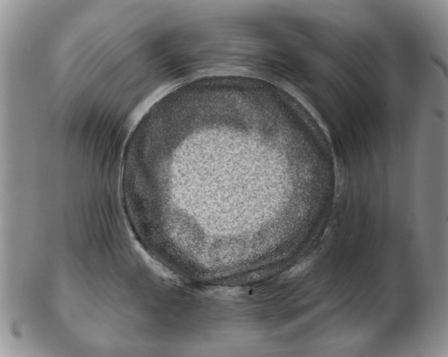 X0000102791245200809081042