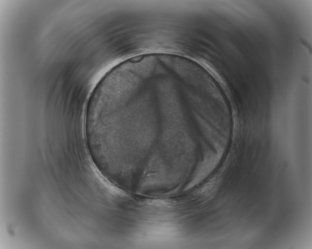 X0000102791246200809081042