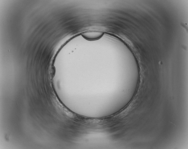 X0000102791248200809081042