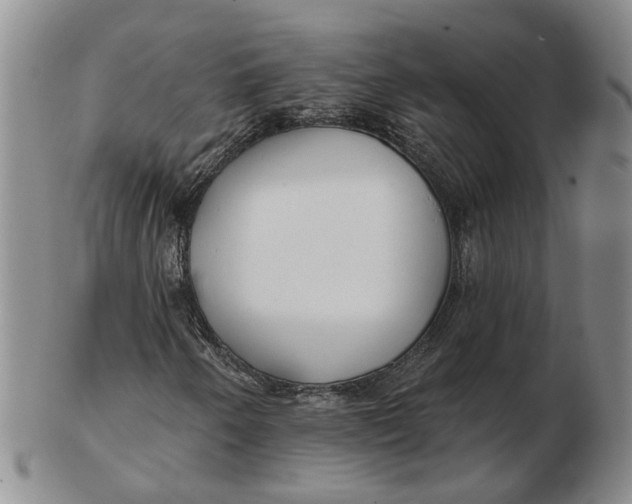 X0000102791250200809081042