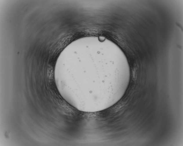 X0000102791251200809081042