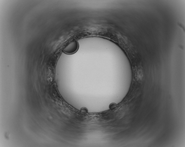 X0000102791253200809081042