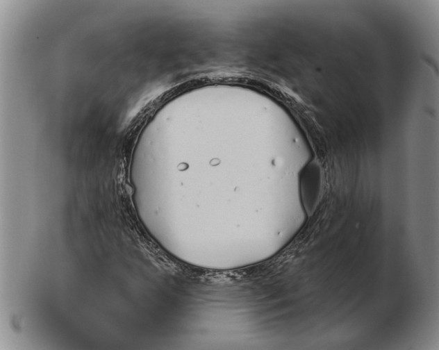 X0000102791255200809081042