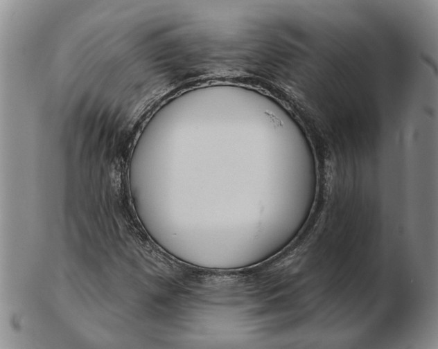 X0000102791257200809081042