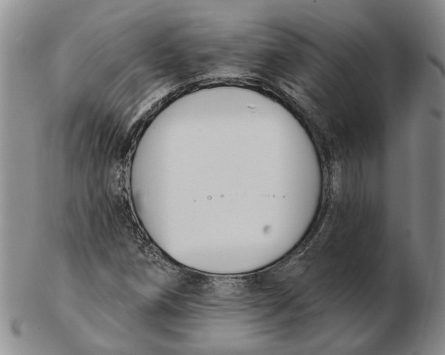 X0000102791258200809081042