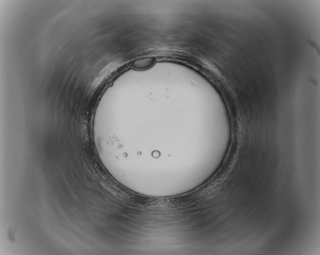 X0000102791259200809081042