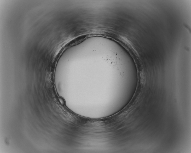 X0000102791260200809081042