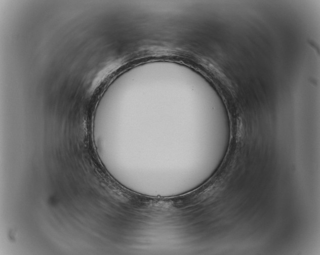 X0000102791261200809081042