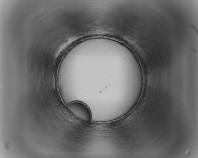 X0000102791262200809081042