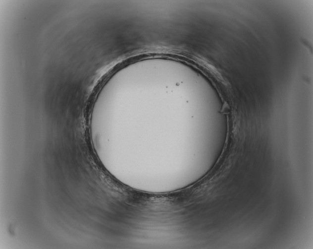 X0000102791264200809081042