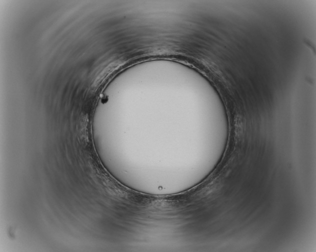 X0000102791265200809081042