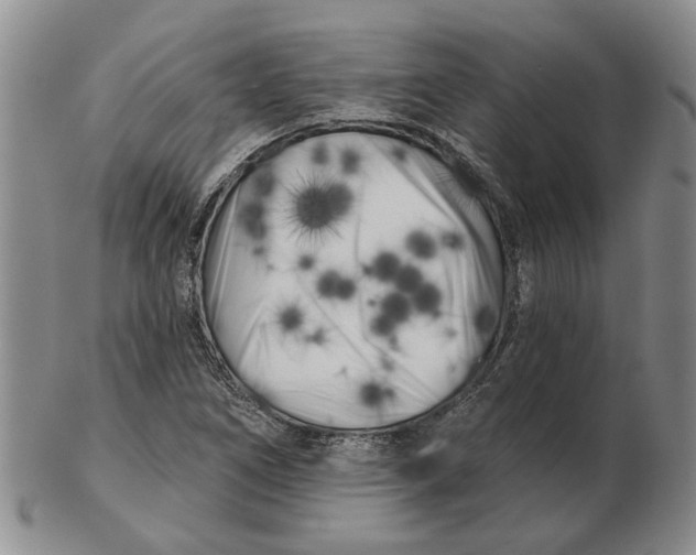 X0000102791266200809081042