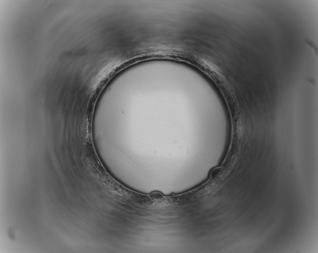 X0000102791267200809081041