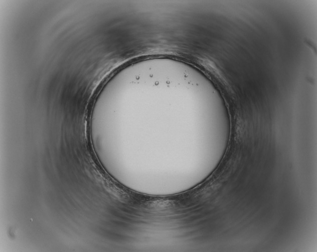 X0000102791268200809081041