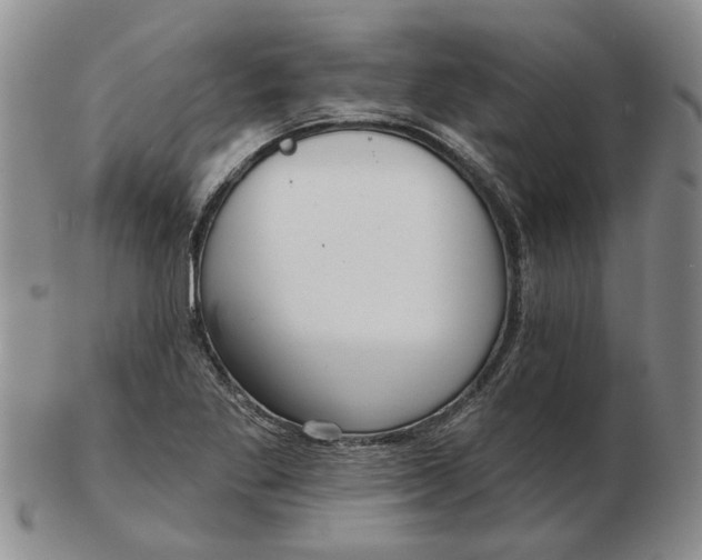 X0000102791269200809081041