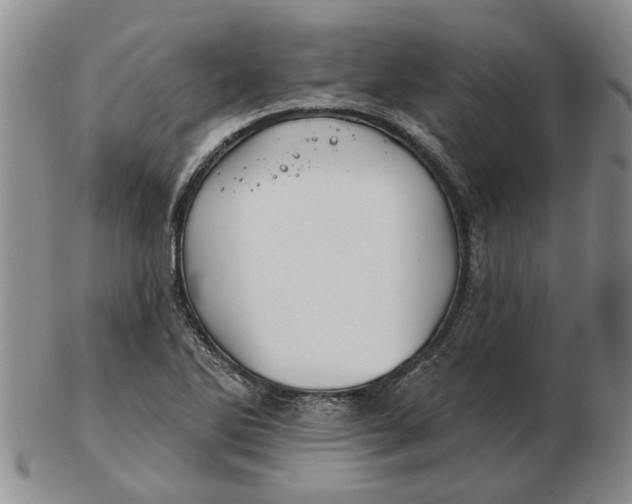 X0000102791270200809081041