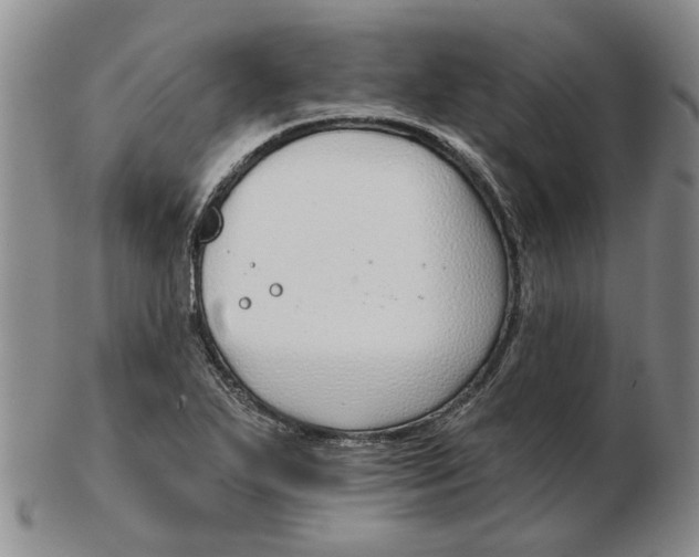 X0000102791271200809081041