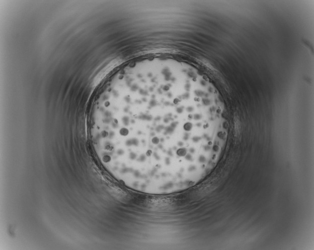 X0000102791274200809081041