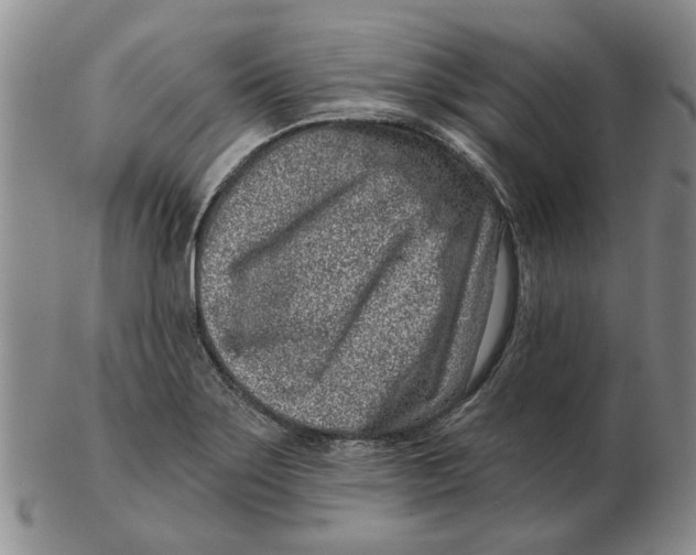 X0000102791275200809081041