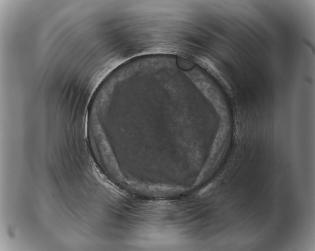 X0000102791276200809081041