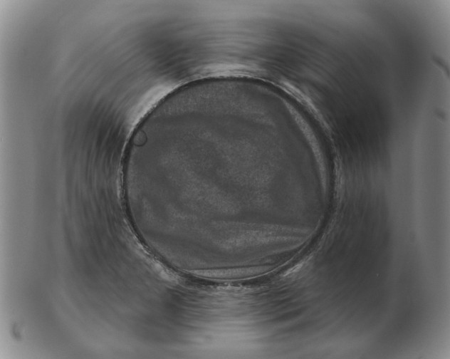 X0000102791277200809081041