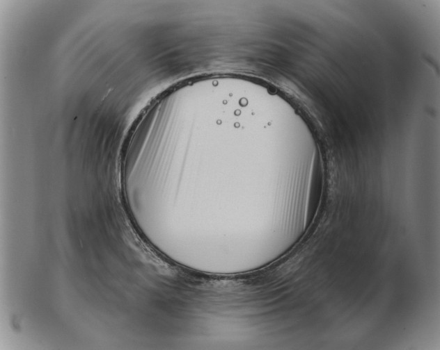 X0000102791280200809081041