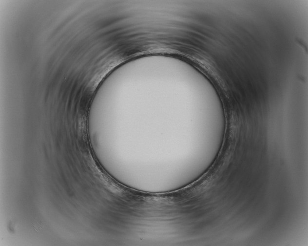 X0000102791281200809081041