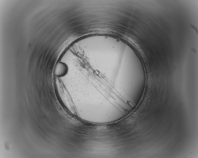 X0000102791283200809081041