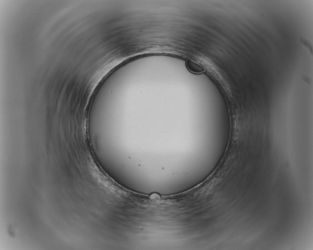 X0000102791284200809081041