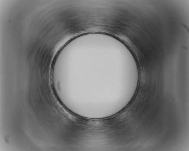 X0000102791286200809081041