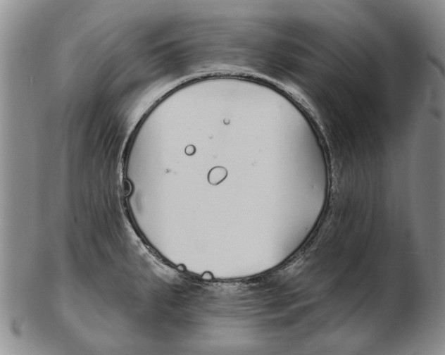 X0000102791287200809081041