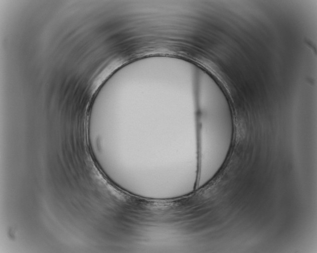 X0000102791290200809081041