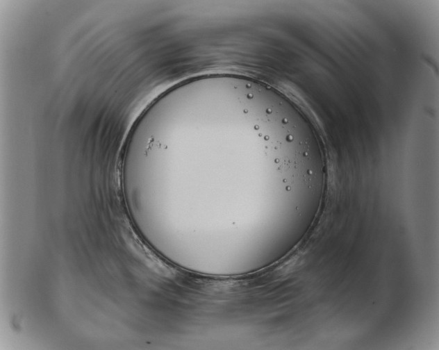 X0000102791292200809081041