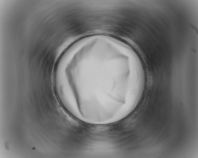 X0000102791294200809081041