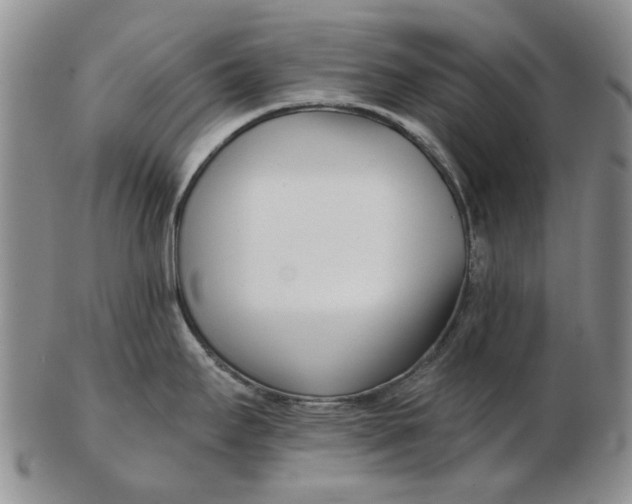 X0000102791295200809081041