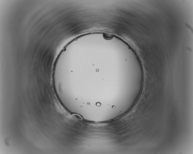 X0000102791296200809081041