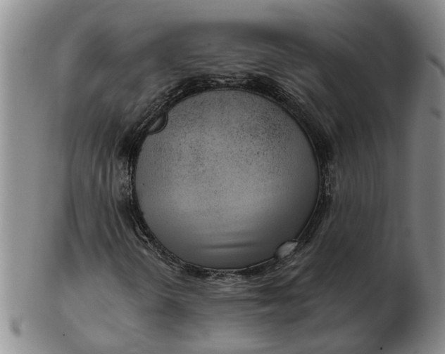 X0000102791298200809081040