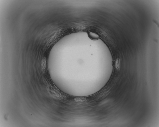 X0000102791299200809081040