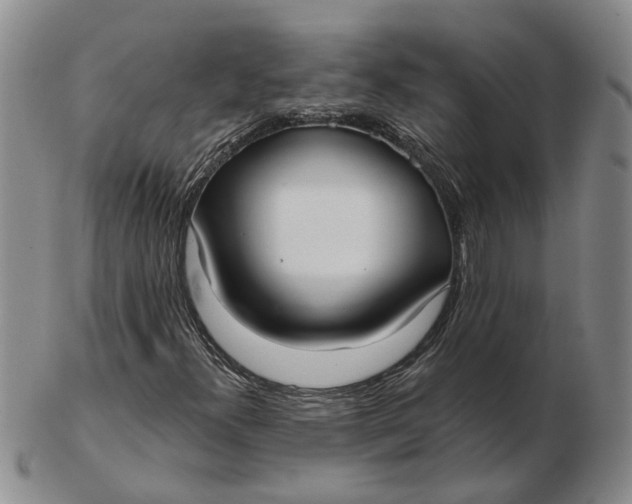 X0000102791300200809081040