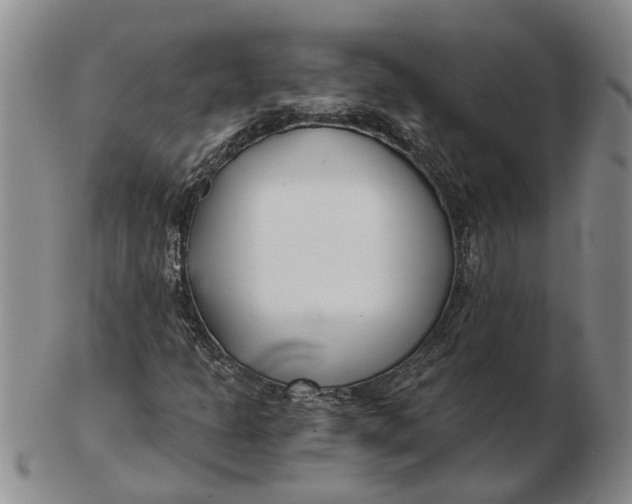 X0000102791301200809081040