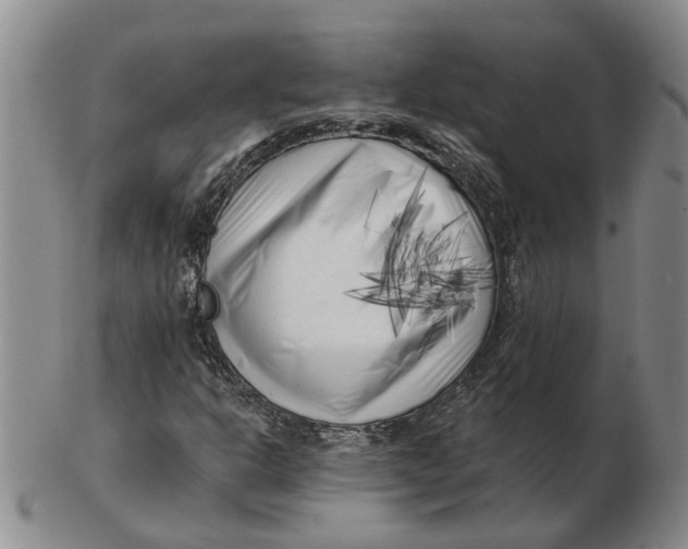 X0000102791302200809081040