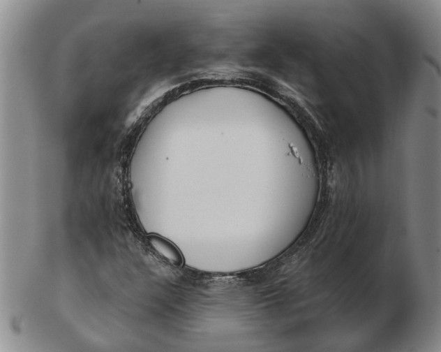 X0000102791304200809081041