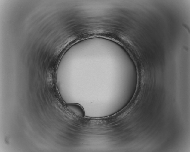 X0000102791305200809081041