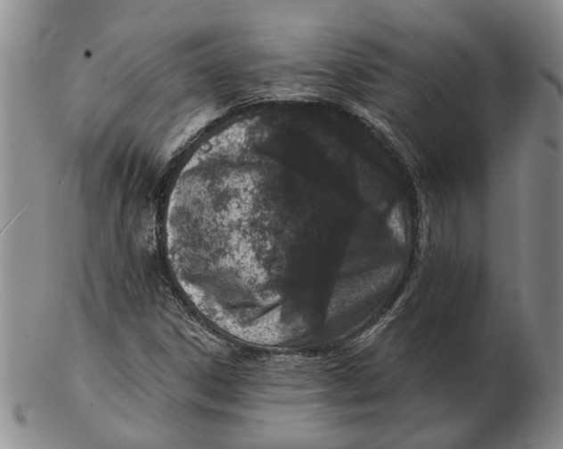 X0000102791306200809081041