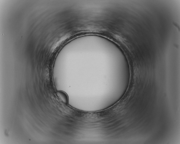 X0000102791307200809081041